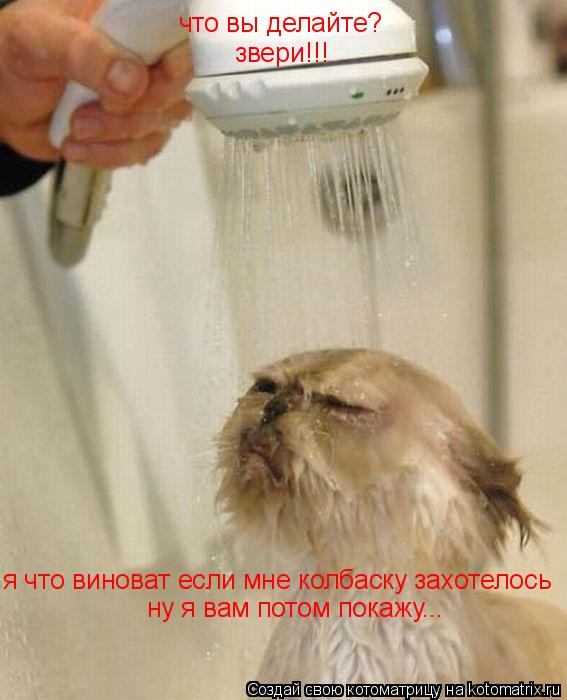 что вы делайте? звери!!! я что виноват если мне колбаску захотелось ну я вам потом покажу...... Котоматрица: что вы делайте? звери!!! я что виноват если мне колбаску захотелось ну я вам потом покажу...