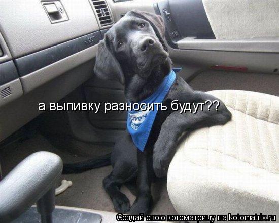 а выпивку разносить будут?? а выпивку разносить будут??... Котоматрица: а выпивку разносить будут?? а выпивку разносить будут??