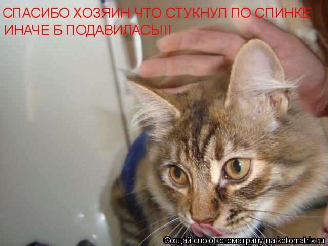 СПАСИБО ХОЗЯИН ЧТО СТУКНУЛ ПО СПИНКЕ ИНАЧЕ Б ПОДАВИЛАСЬ!!!... Котоматрица: СПАСИБО ХОЗЯИН ЧТО СТУКНУЛ ПО СПИНКЕ ИНАЧЕ Б ПОДАВИЛАСЬ!!!