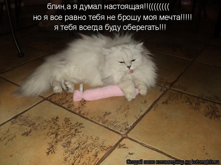 блин,а я думал настоящая!!(((((((( но я все равно тебя не брошу моя мечта!!!!! я тебя всегда буду обе... Котоматрица: блин,а я думал настоящая!!(((((((( но я все равно тебя не брошу моя мечта!!!!! я тебя всегда буду оберегать!!!