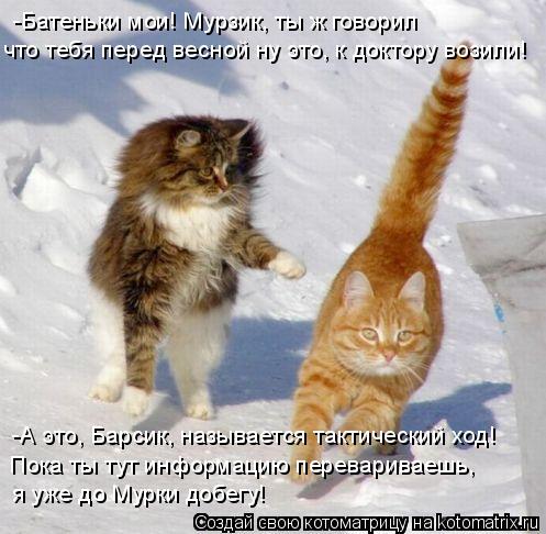 -Батеньки мои! Мурзик, ты ж говорил что тебя перед весной ну это, к доктору возили! -А это, Барсик,... Котоматрица: -Батеньки мои! Мурзик, ты ж говорил что тебя перед весной ну это, к доктору возили! -А это, Барсик, называется тактический ход! Пока ты тут инф