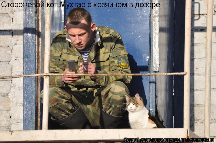 Сторожевой кот Мухтар с хозяином в дозоре.... Котоматрица: Сторожевой кот Мухтар с хозяином в дозоре.