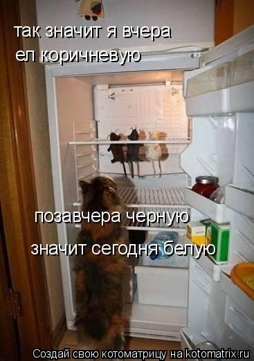 Котоматрица: так значит я вчера  ел коричневую позавчера черную значит сегодня белую