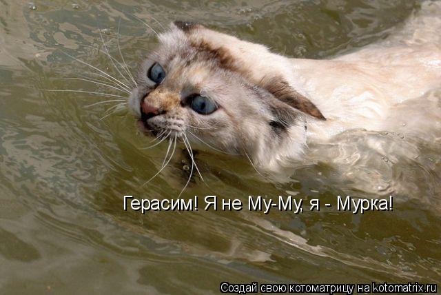Котоматрица: Герасим! Я не Му-Му, я - Мурка!