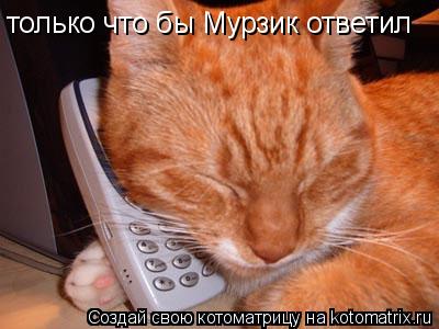 Котоматрица: только что бы Мурзик ответил