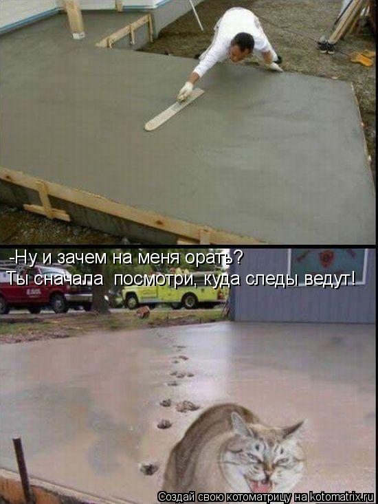 Котоматрица: -Ну и зачем на меня орать? Ты сначала  посмотри, куда следы ведут!