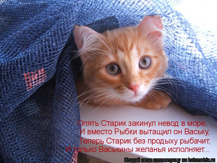 Котоматрица: Опять Старик закинул невод в море, И вместо Рыбки вытащил он Ваську, Теперь Старик без продыху рыбачит, И только Васькины желанья исполняет.