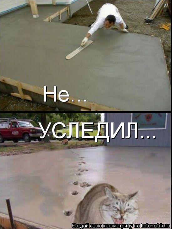 Не... УСЛЕДИЛ...... Котоматрица: Не... УСЛЕДИЛ...