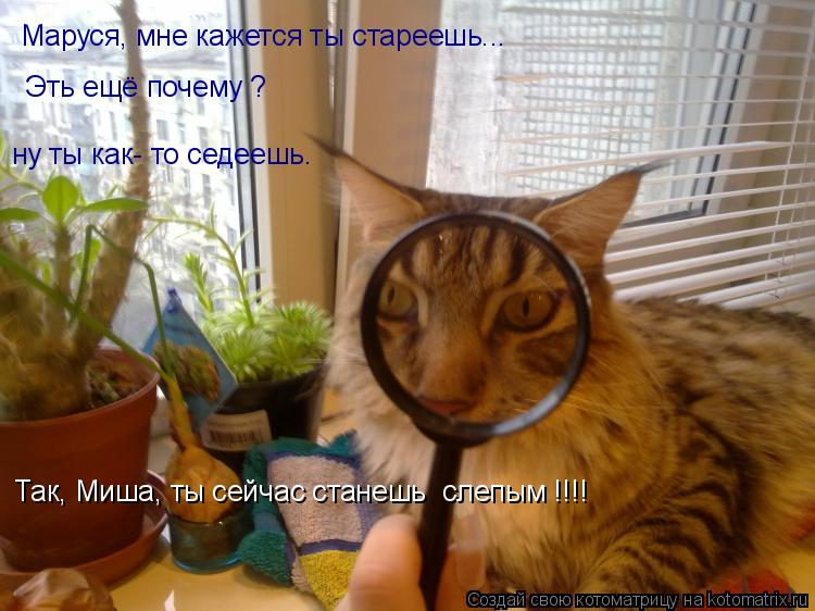 Маруся, мне кажется ты стареешь... Эть ещё почему ? ну ты как- то седеешь. Так, Миша, ты сейчас стане... Котоматрица: Маруся, мне кажется ты стареешь... Эть ещё почему ? ну ты как- то седеешь. Так, Миша, ты сейчас станешь слепым !!!!