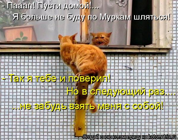 - Пааап! Пусти домой!... Я больше не буду по Муркам шляться! - Так я тебе и поверил! Но в следующий р... Котоматрица: - Пааап! Пусти домой!... Я больше не буду по Муркам шляться! - Так я тебе и поверил! Но в следующий раз.... ...не забудь взять меня с собой!
