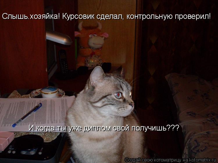 Слышь.хозяйка! Курсовик сделал, контрольную проверил! И когда ты уже диплом свой получишь???... Котоматрица: Слышь.хозяйка! Курсовик сделал, контрольную проверил! И когда ты уже диплом свой получишь???