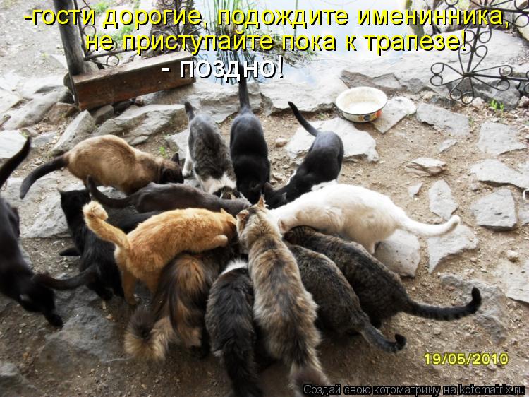 -гости дорогие, подождите именинника, не приступайте пока к трапезе! - поздно!... Котоматрица: -гости дорогие, подождите именинника, не приступайте пока к трапезе! - поздно!