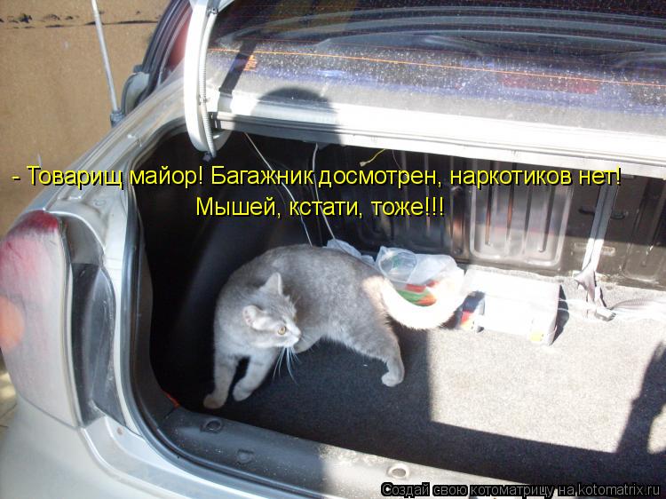 - Товарищ майор! Багажник досмотрен, наркотиков нет! Мышей, кстати, тоже!!!... Котоматрица: - Товарищ майор! Багажник досмотрен, наркотиков нет! Мышей, кстати, тоже!!!