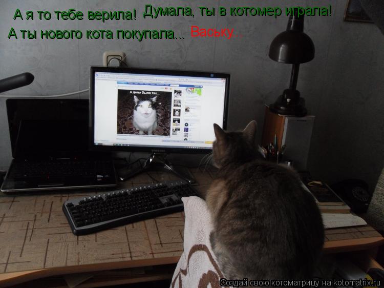 А я то тебе верила! Думала, ты в котомер играла! А ты нового кота покупала... Ваську...... Котоматрица: А я то тебе верила! Думала, ты в котомер играла! А ты нового кота покупала... Ваську...
