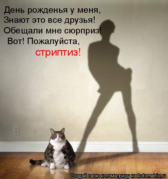 День рожденья у меня, Знают это все друзья! Обещали мне сюрприз! Вот! Пожалуйста, стриптиз!... Котоматрица: День рожденья у меня, Знают это все друзья! Обещали мне сюрприз! Вот! Пожалуйста, стриптиз!