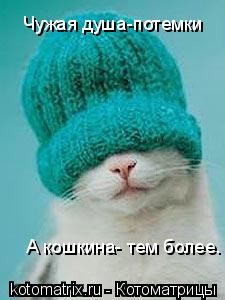 Чужая душа-потемки А кошкина- тем более.... Котоматрица: Чужая душа-потемки А кошкина- тем более.