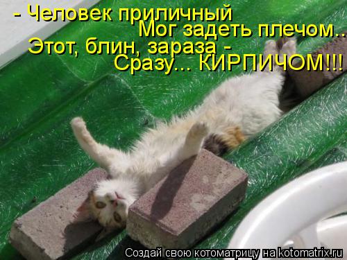 - Человек приличный Мог задеть плечом... Этот, блин, зараза - Сразу... КИРПИЧОМ!!!... Котоматрица: - Человек приличный Мог задеть плечом... Этот, блин, зараза - Сразу... КИРПИЧОМ!!!