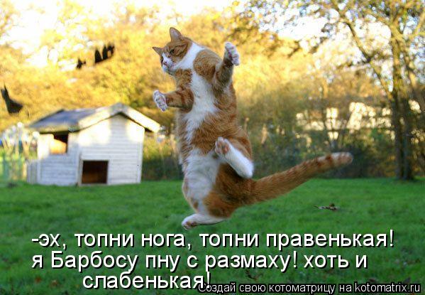 -эх, топни нога, топни правенькая! я Барбосу пну с размаху! хоть и слабенькая!... Котоматрица: -эх, топни нога, топни правенькая! я Барбосу пну с размаху! хоть и слабенькая!