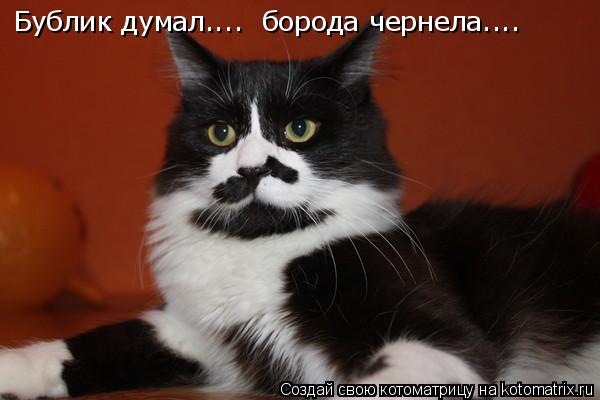 Бублик думал.... борода чернела....... Котоматрица: Бублик думал.... борода чернела....