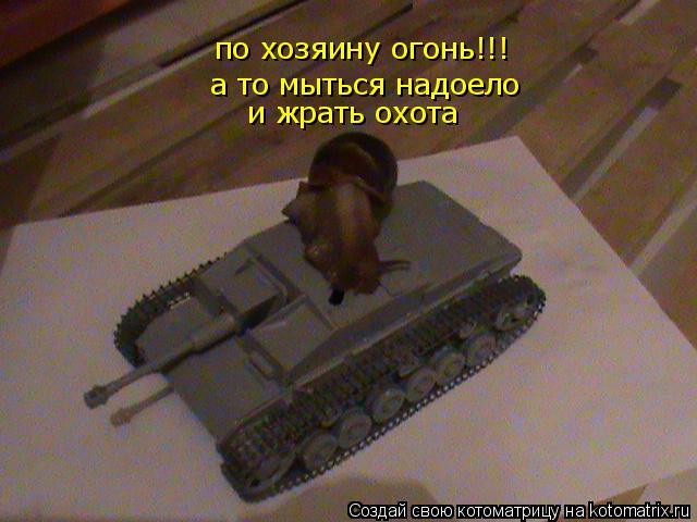 по хозяину огонь!!! а то мыться надоело и жрать охота и жрать охота... Котоматрица: по хозяину огонь!!! а то мыться надоело и жрать охота и жрать охота