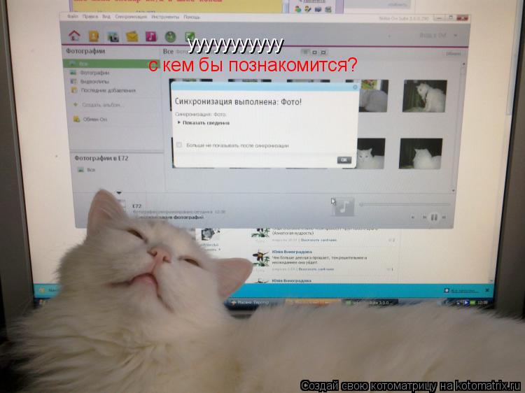 ууууууууууу с кем бы познакомится?... Котоматрица: ууууууууууу с кем бы познакомится?