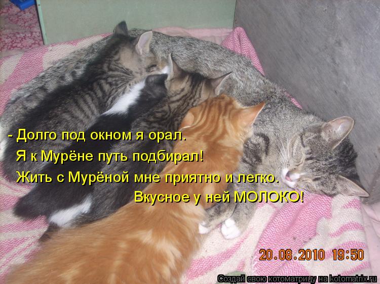 - Долго под окном я орал. Вкусное у ней МОЛОКО! Я к Мурёне путь подбирал! Жить с Мурёной мне приятно ... Котоматрица: - Долго под окном я орал. Вкусное у ней МОЛОКО! Я к Мурёне путь подбирал! Жить с Мурёной мне приятно и легко.