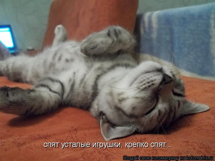 спят усталые игрушки, крепко спят...... Котоматрица: спят усталые игрушки, крепко спят...