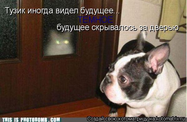 Тузик иногда видел будущее... ТЕМНОЕ будущее скрывалось за дверью... Котоматрица: Тузик иногда видел будущее... ТЕМНОЕ будущее скрывалось за дверью