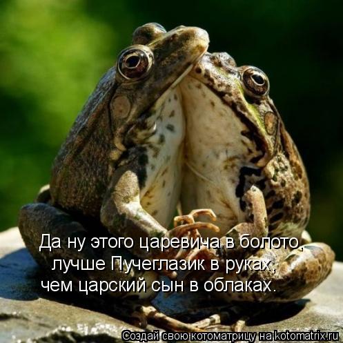Да ну этого царевича в болото, лучше Пучеглазик в руках, чем царский сын в облаках.... Котоматрица: Да ну этого царевича в болото, лучше Пучеглазик в руках, чем царский сын в облаках.