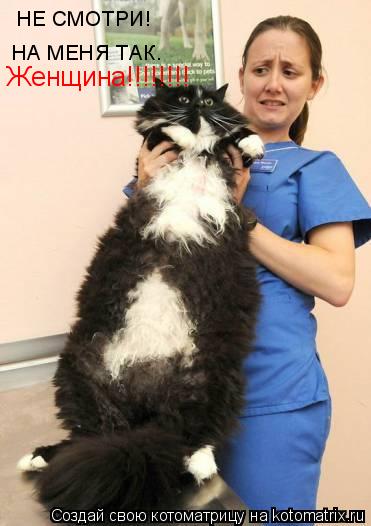 НЕ СМОТРИ! НА МЕНЯ ТАК. Женщина!!!!!!!!... Котоматрица: НЕ СМОТРИ! НА МЕНЯ ТАК. Женщина!!!!!!!!