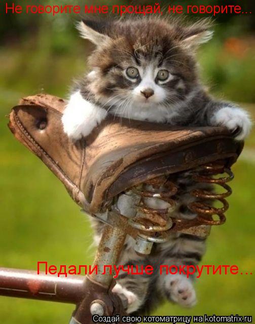 Не говорите мне прощай, не говорите... Педали лучше покрутите...... Котоматрица: Не говорите мне прощай, не говорите... Педали лучше покрутите...