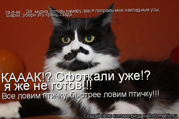 та-а-ак... Эй, мурка, готовь камеру, вася поправь мне накладные усы, шарик, убери эту хрень сзади.. ... Котоматрица: та-а-ак... Эй, мурка, готовь камеру, вася поправь мне накладные усы, шарик, убери эту хрень сзади.. КАААК!? Сфоткали уже!? я же не готов!!! Все лови