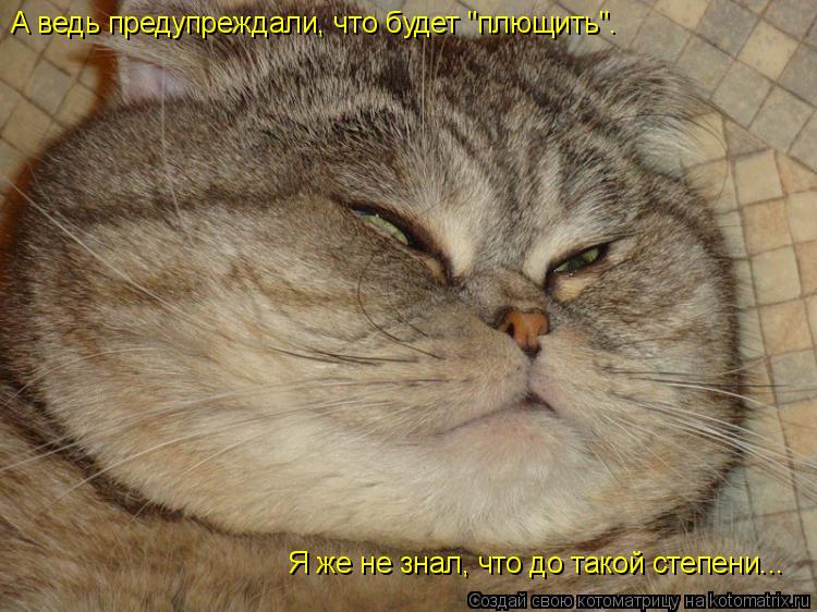 А ведь предупреждали, что будет "плющить". Я же не знал, что до такой степени...... Котоматрица: А ведь предупреждали, что будет "плющить". Я же не знал, что до такой степени...