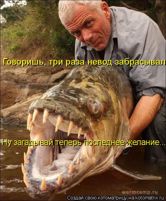 Говоришь, три раза невод забрасывал? Ну загадывай теперь последнее желание...... Котоматрица: Говоришь, три раза невод забрасывал? Ну загадывай теперь последнее желание...