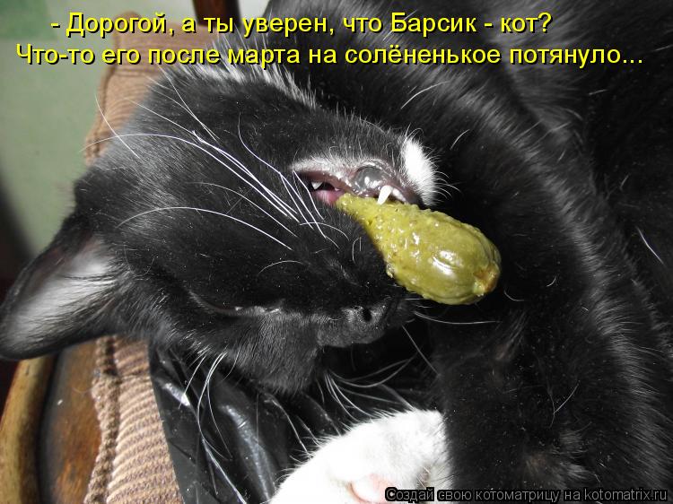 - Дорогой, а ты уверен, что Барсик - кот? Что-то его после марта на солёненькое потянуло...... Котоматрица: - Дорогой, а ты уверен, что Барсик - кот? Что-то его после марта на солёненькое потянуло...
