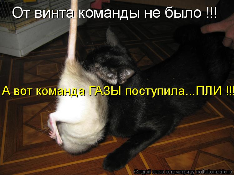 От винта команды не было !!! А вот команда ГАЗЫ поступила...ПЛИ !!!!... Котоматрица: От винта команды не было !!! А вот команда ГАЗЫ поступила...ПЛИ !!!!
