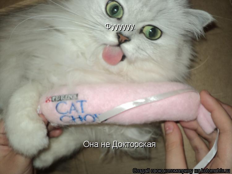 Фуууууу. Она не Докторская... Котоматрица: Фуууууу. Она не Докторская