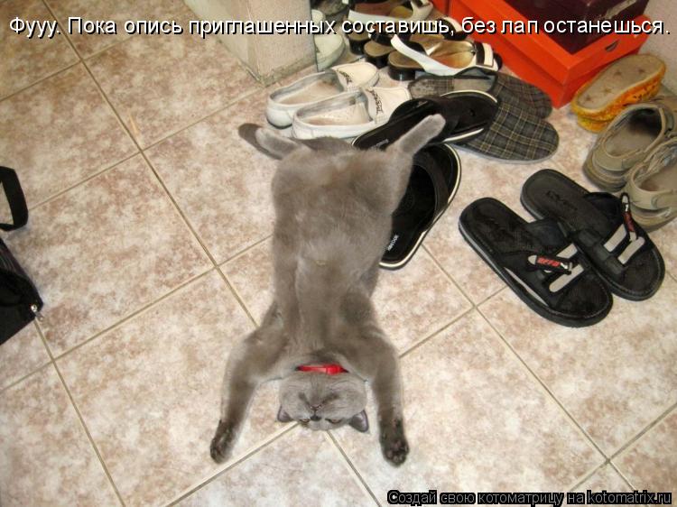 Фууу. Пока опись приглашенных составишь, без лап останешься.... Котоматрица: Фууу. Пока опись приглашенных составишь, без лап останешься.