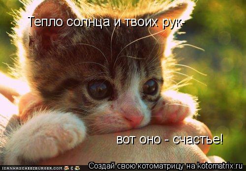 Тепло солнца и твоих рук- вот оно - счастье!... Котоматрица: Тепло солнца и твоих рук- вот оно - счастье!