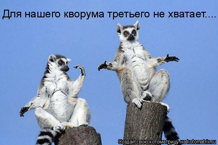 Для нашего кворума третьего не хватает....... Котоматрица: Для нашего кворума третьего не хватает....