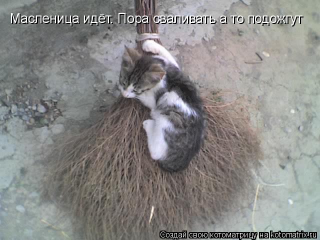 Масленица идёт. Пора сваливать а то подожгут... Котоматрица: Масленица идёт. Пора сваливать а то подожгут