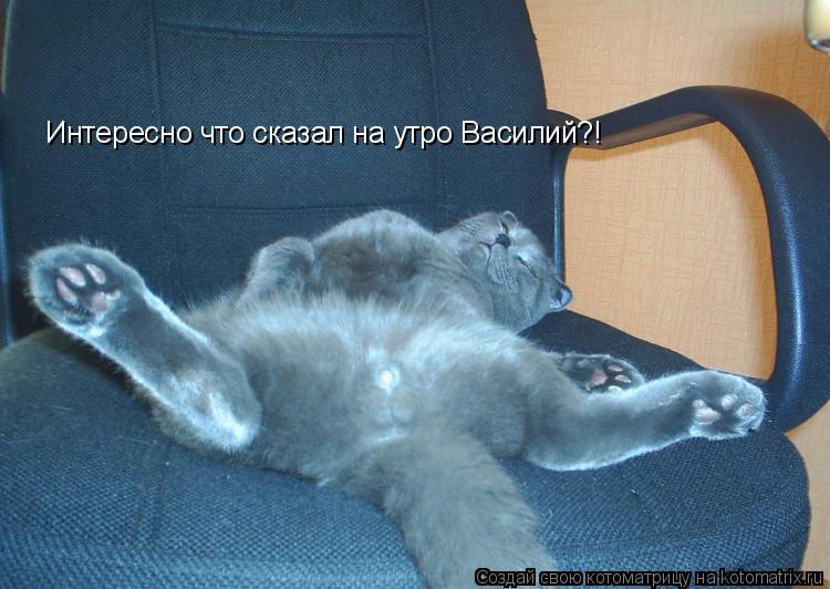 Интересно что сказал на утро Василий?!... Котоматрица: Интересно что сказал на утро Василий?!