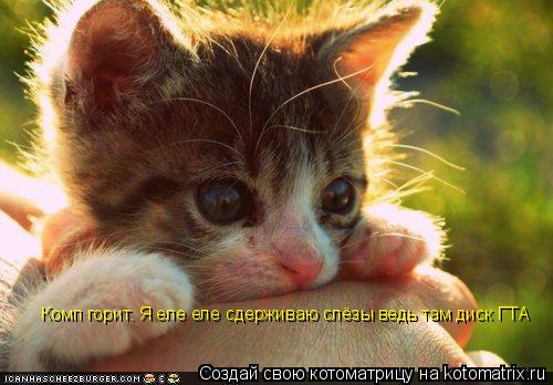 Комп горит. Я еле еле сдерживаю слёзы ведь там диск ГТА... Котоматрица: Комп горит. Я еле еле сдерживаю слёзы ведь там диск ГТА