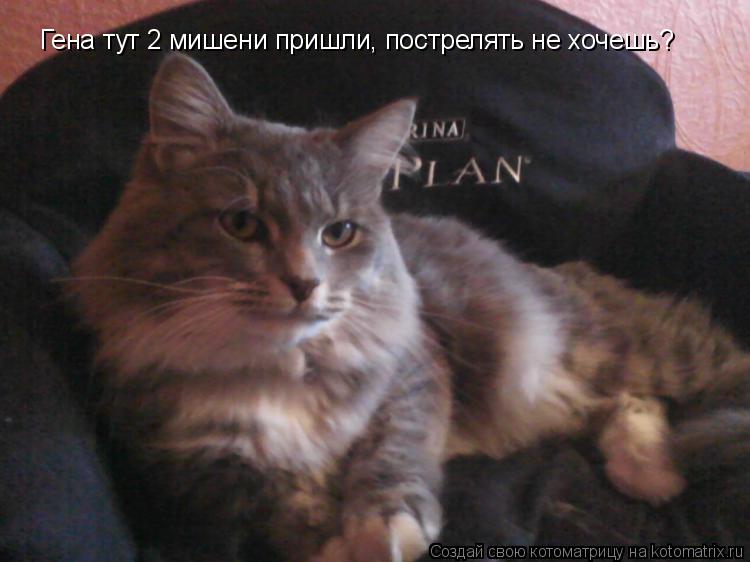 Гена тут 2 мишени пришли, пострелять не хочешь?... Котоматрица: Гена тут 2 мишени пришли, пострелять не хочешь?