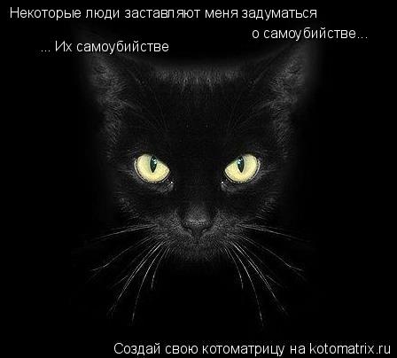 Некоторые люди заставляют меня задуматься о самоубийстве... ... Их самоубийстве... Котоматрица: Некоторые люди заставляют меня задуматься о самоубийстве... ... Их самоубийстве