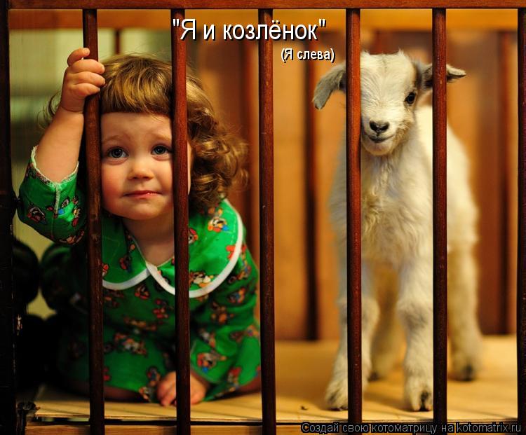 "Я и козлёнок" (Я слева)... Котоматрица: "Я и козлёнок" (Я слева)