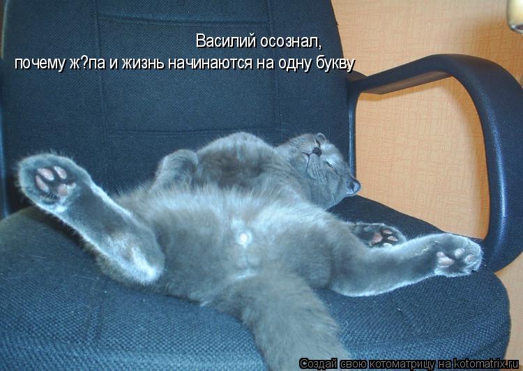 Василий осознал, почему ж?па и жизнь начинаются на одну букву... Котоматрица: Василий осознал, почему ж?па и жизнь начинаются на одну букву
