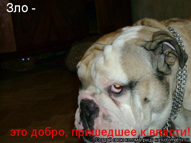 Зло - это добро, пришедшее к власти!... Котоматрица: Зло - это добро, пришедшее к власти!