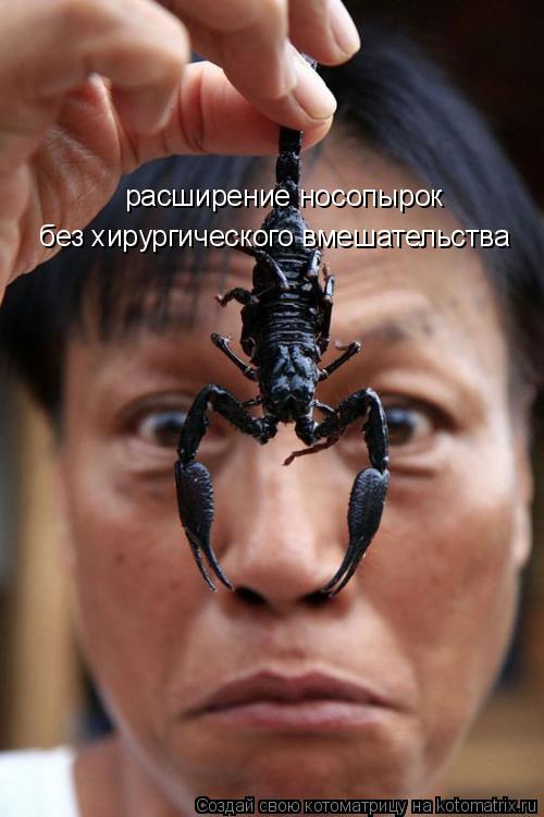 расширение носопырок без хирургического вмешательства... Котоматрица: расширение носопырок без хирургического вмешательства