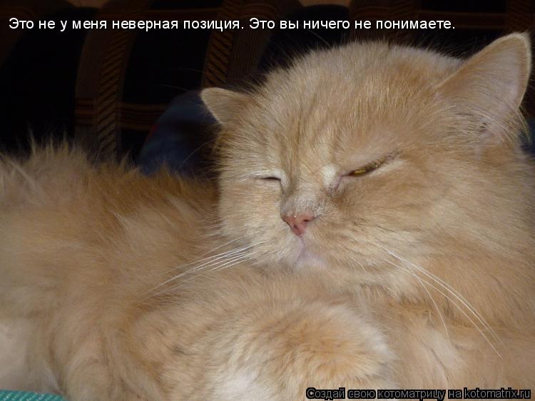 Это не у меня неверная позиция. Это вы ничего не понимаете.... Котоматрица: Это не у меня неверная позиция. Это вы ничего не понимаете.